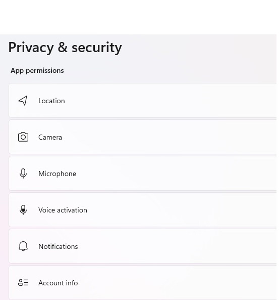 Privacy & Security App Permission 