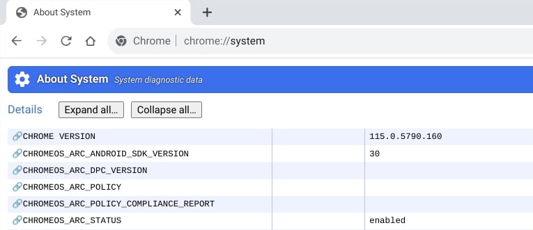 A screen shot of the chrome://system output from a Chromebook